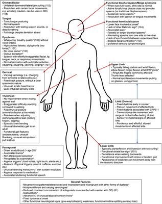 Functional Dystonia: Differentiation From Primary Dystonia and Multidisciplinary Treatments